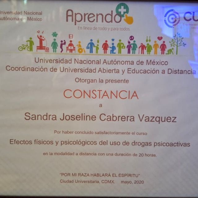 Ampliar imagen: certificate 1