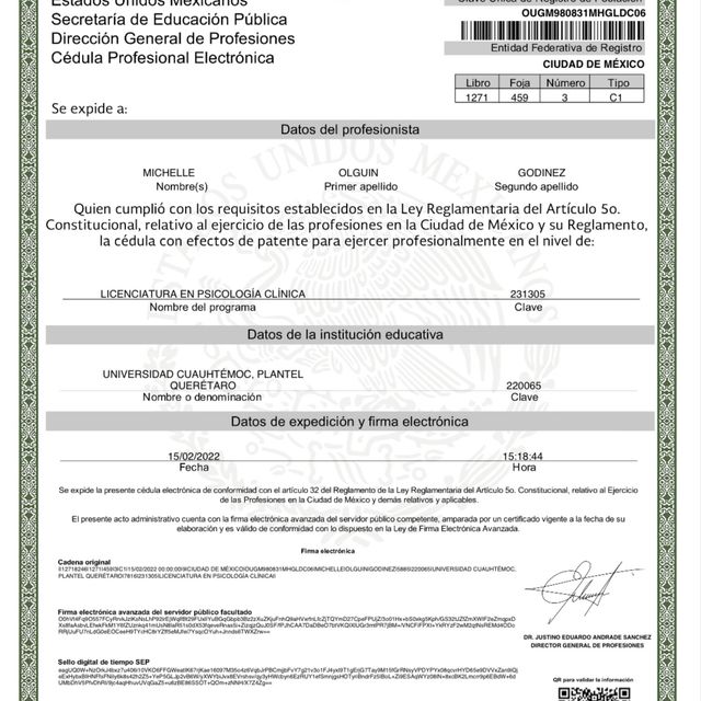 Ampliar imagen: certificate 3