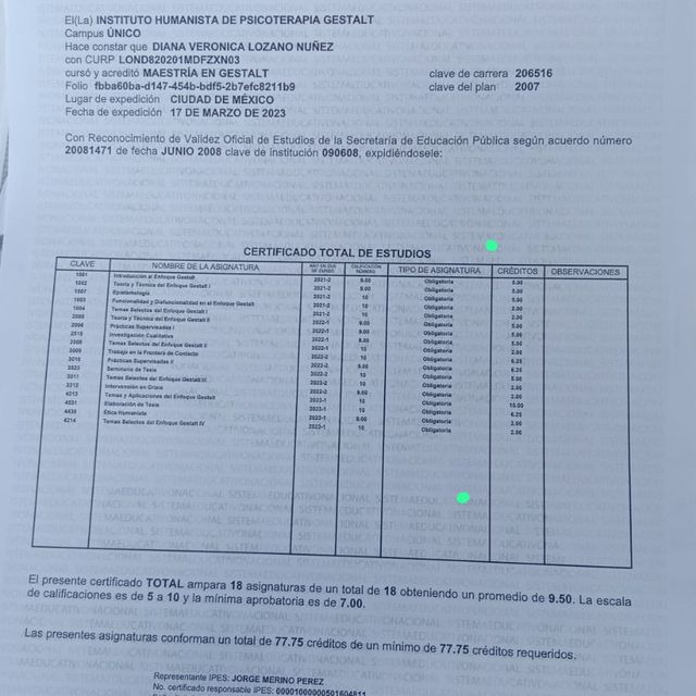 Ampliar imagen: certificate 1