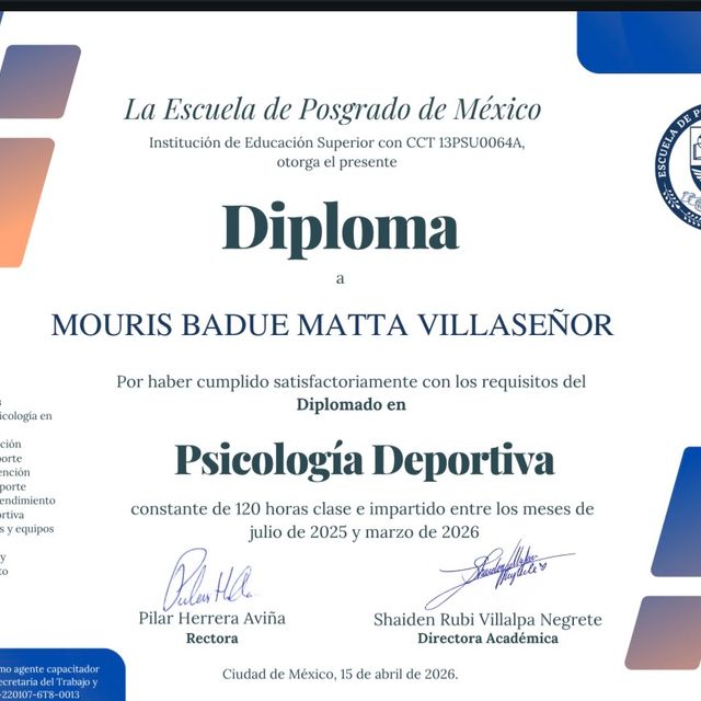 Ampliar imagen: certificate 1