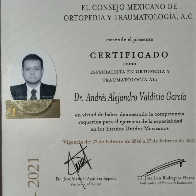 Ampliar imagen: certificate 1