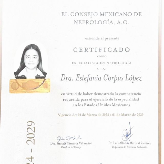 Ampliar imagen: certificate 4