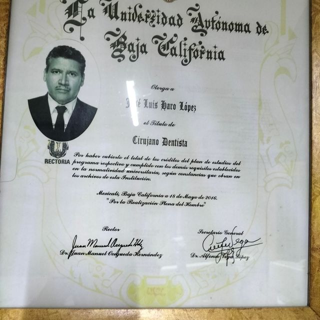 Ampliar imagen: certificate 6