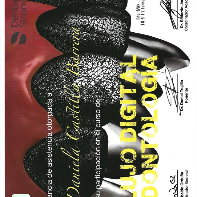 Ampliar imagen: certificate 2