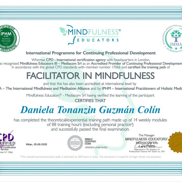 Ampliar imagen: certificate 3
