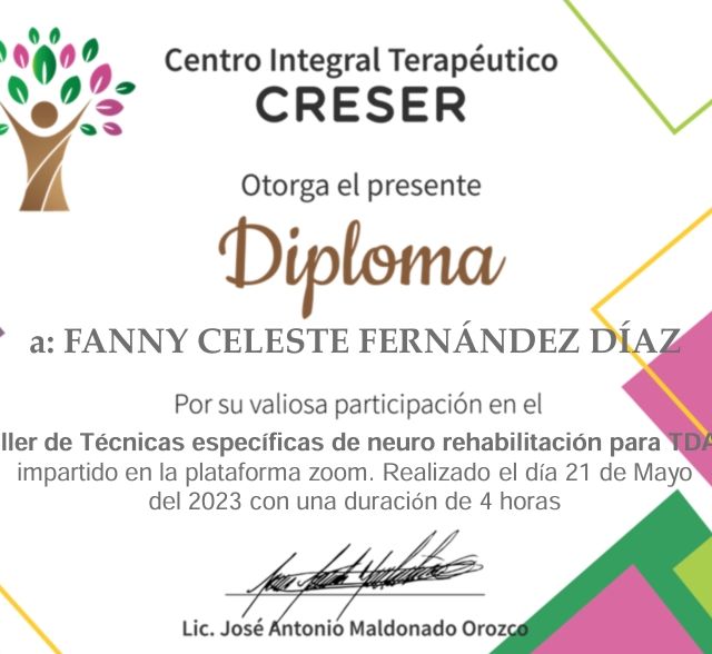 Ampliar imagen: certificate 17