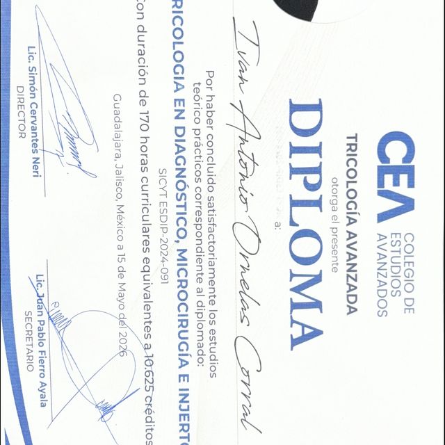 Ampliar imagen: certificate 33