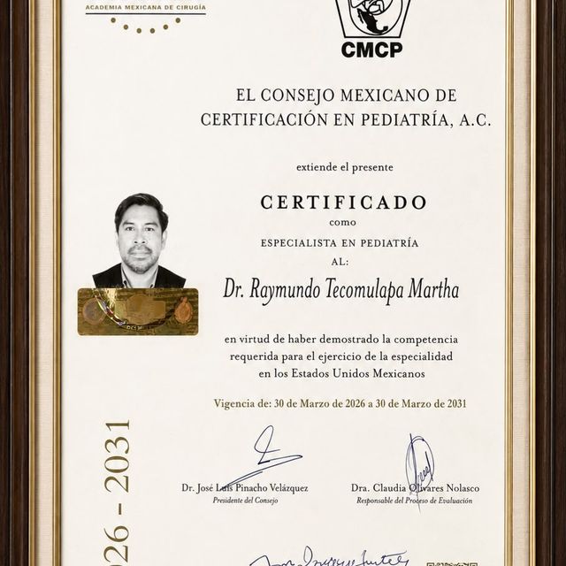 Ampliar imagen: certificate 4