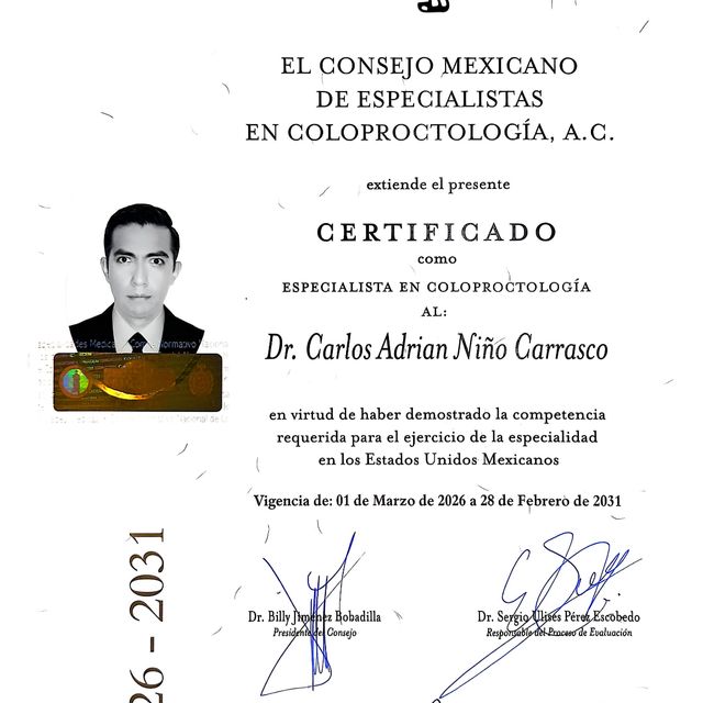 Ampliar imagen: certificate 1