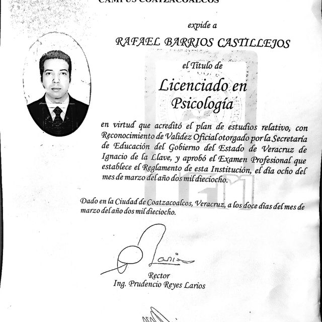 Ampliar imagen: certificate 8