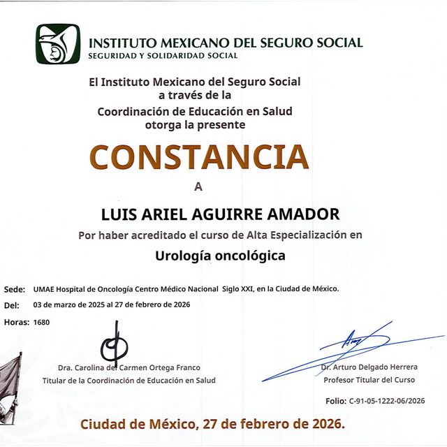 Ampliar imagen: certificate 3