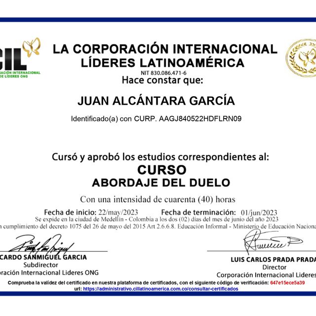 Ampliar imagen: certificate 10