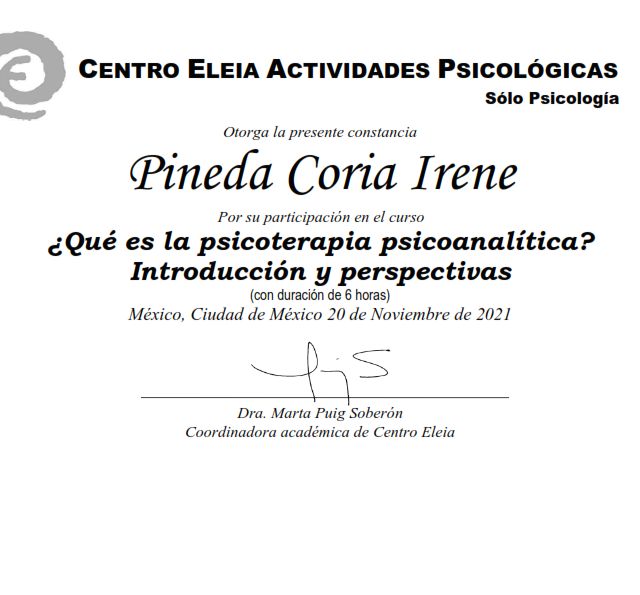Ampliar imagen: certificate 5