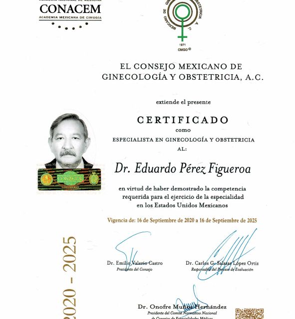 Ampliar imagen: certificate 1