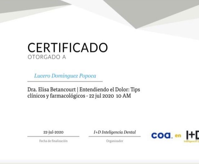 Ampliar imagen: certificate 3
