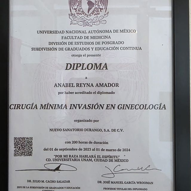 Ampliar imagen: certificate 1