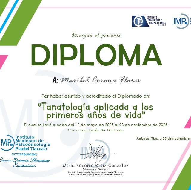 Ampliar imagen: certificate 7