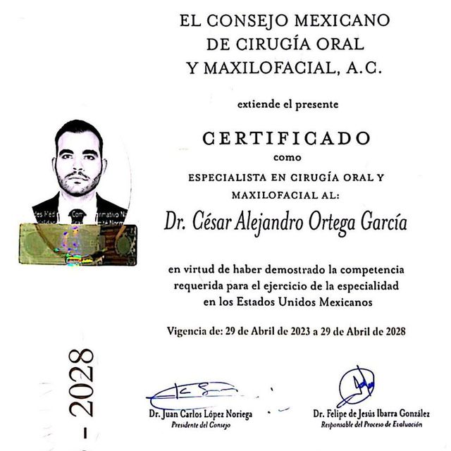 Ampliar imagen: certificate 2