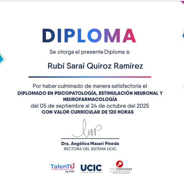 Ampliar imagen: certificate 26