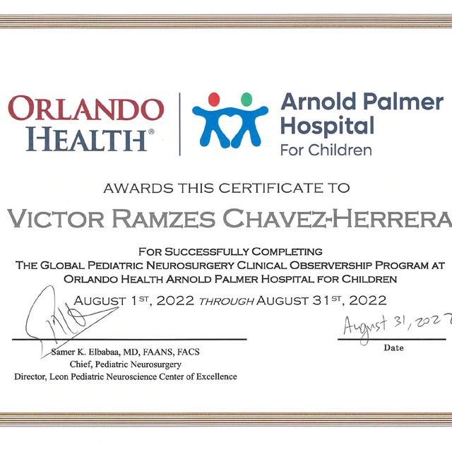 Ampliar imagen: certificate 9