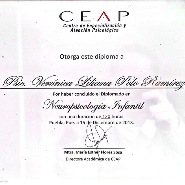 Ampliar imagen: certificate 5