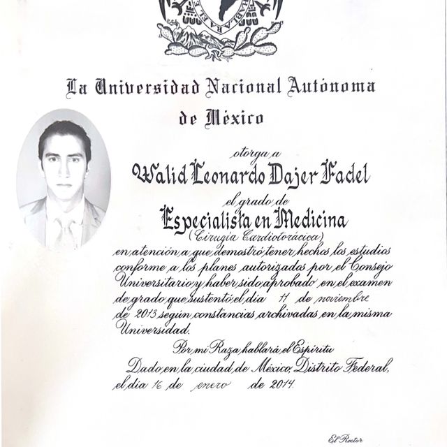 Ampliar imagen: certificate 24