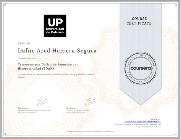 Ampliar imagen: certificate 11