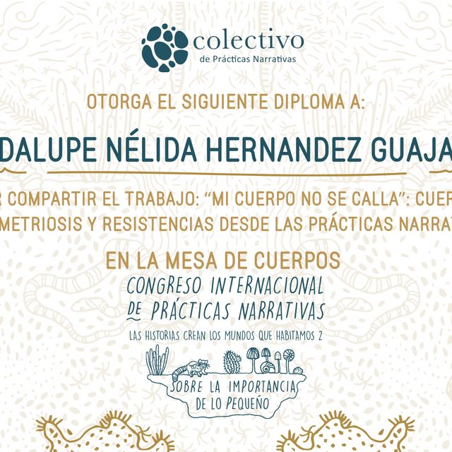 Ampliar imagen: certificate 1