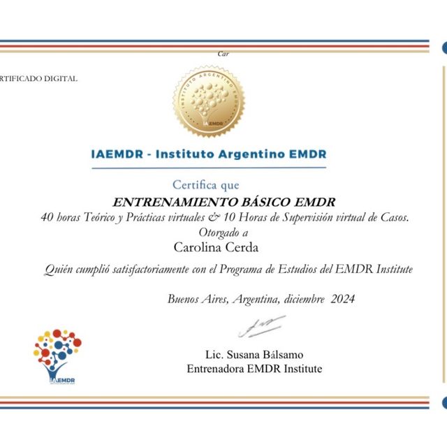 Ampliar imagen: certificate 14