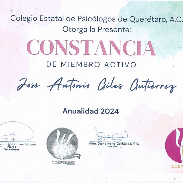 Ampliar imagen: certificate 1