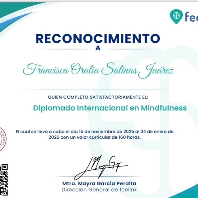 Ampliar imagen: certificate 9