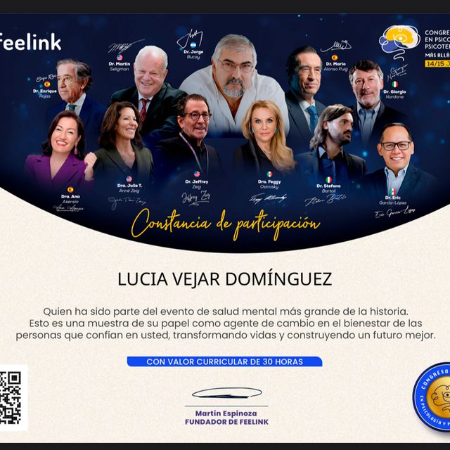 Ampliar imagen: certificate 14