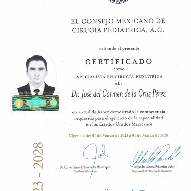 Ampliar imagen: certificate 2