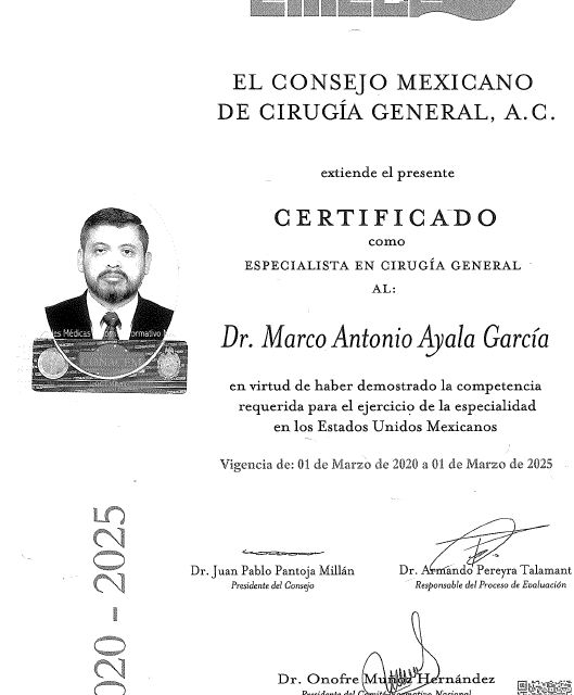 Ampliar imagen: certificate 1