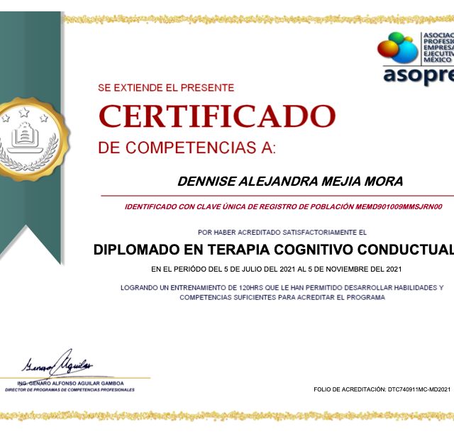 Ampliar imagen: certificate 2