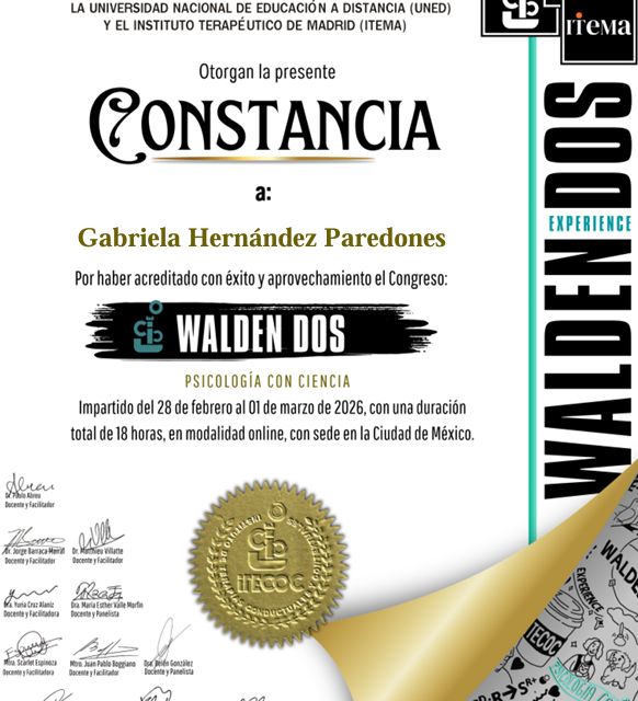 Ampliar imagen: certificate 12