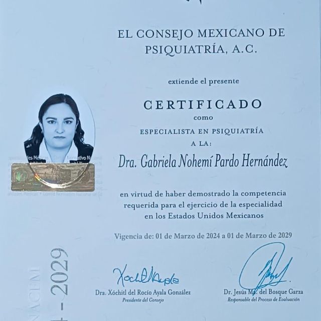 Ampliar imagen: certificate 3