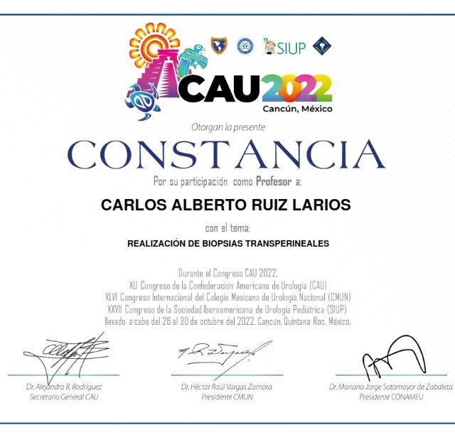 Ampliar imagen: certificate 3