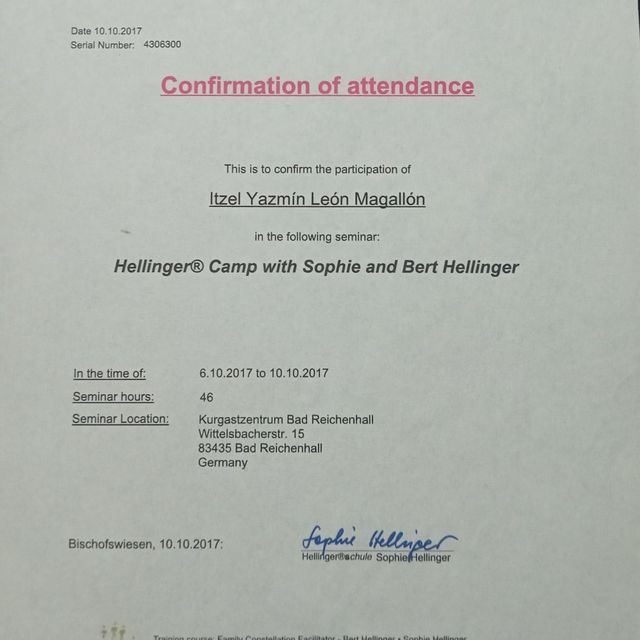 Ampliar imagen: certificate 3