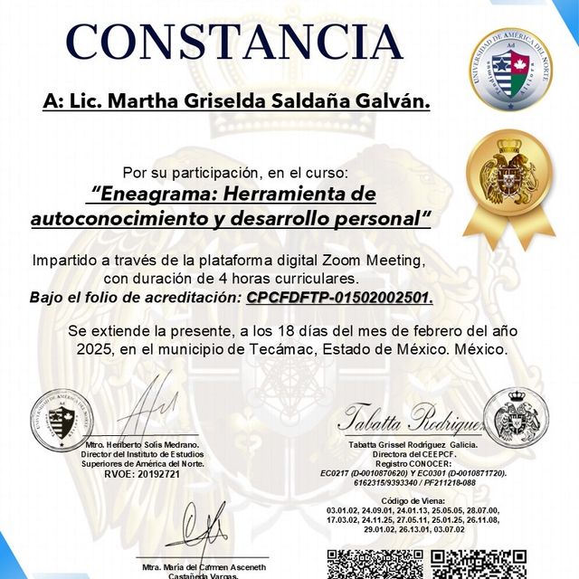 Ampliar imagen: certificate 14