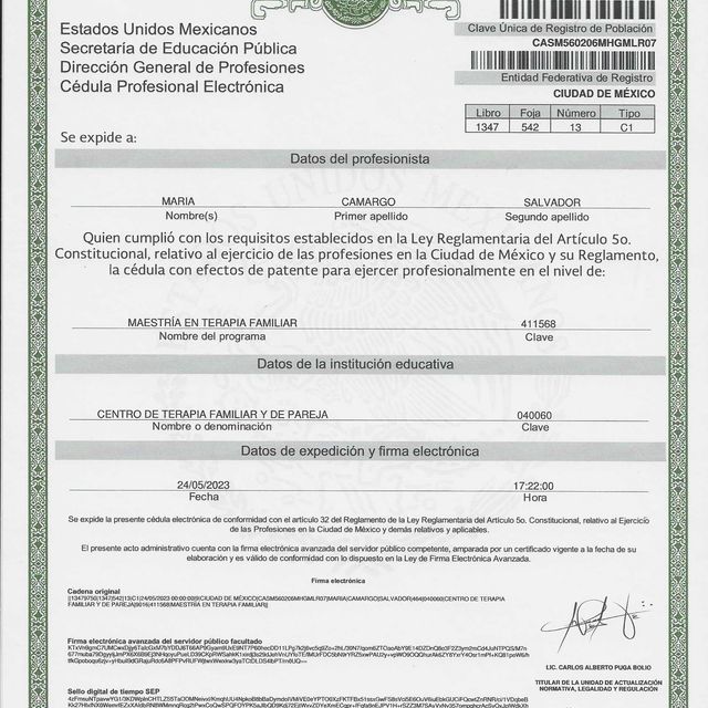 Ampliar imagen: certificate 33