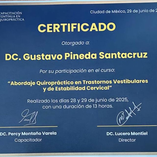 Ampliar imagen: certificate 11