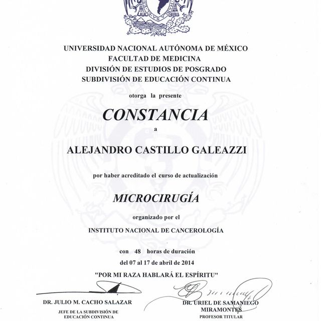 Ampliar imagen: certificate 13