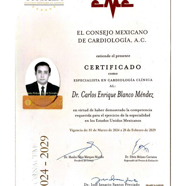 Ampliar imagen: certificate 1