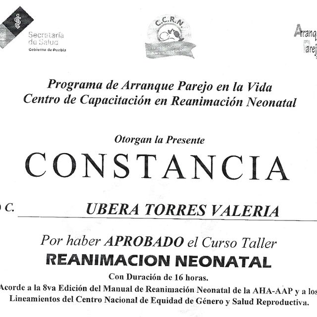 Ampliar imagen: certificate 7