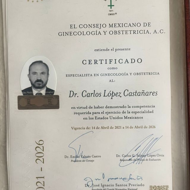 Ampliar imagen: certificate 2