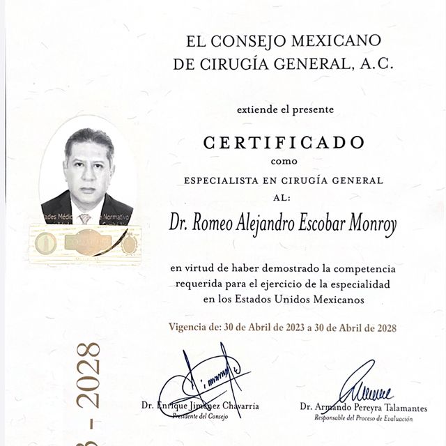 Ampliar imagen: certificate 2