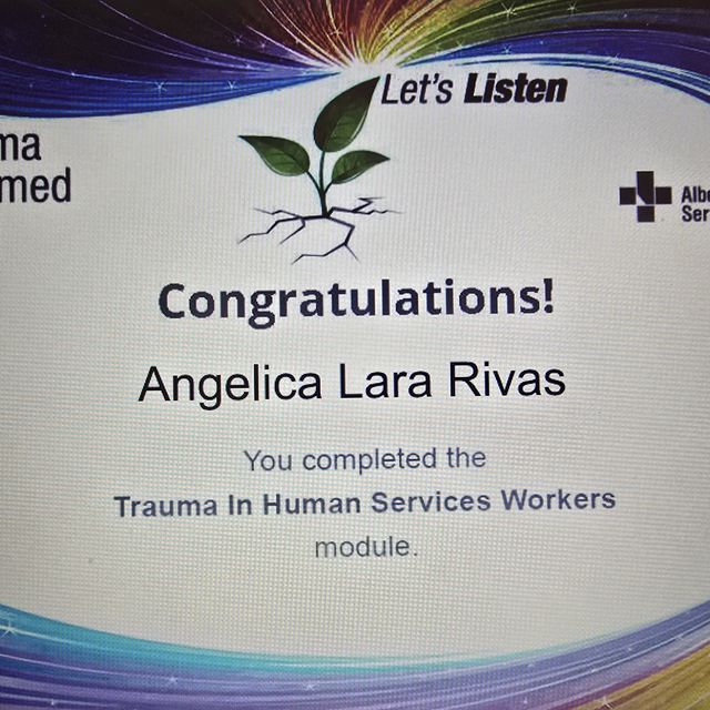 Ampliar imagen: certificate 4