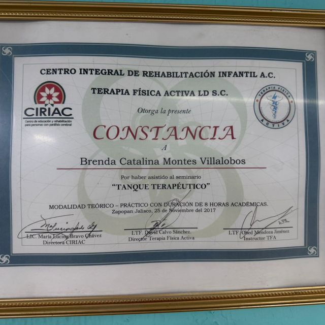 Ampliar imagen: certificate 3