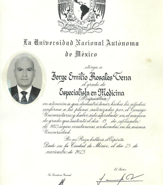 Ampliar imagen: certificate 3